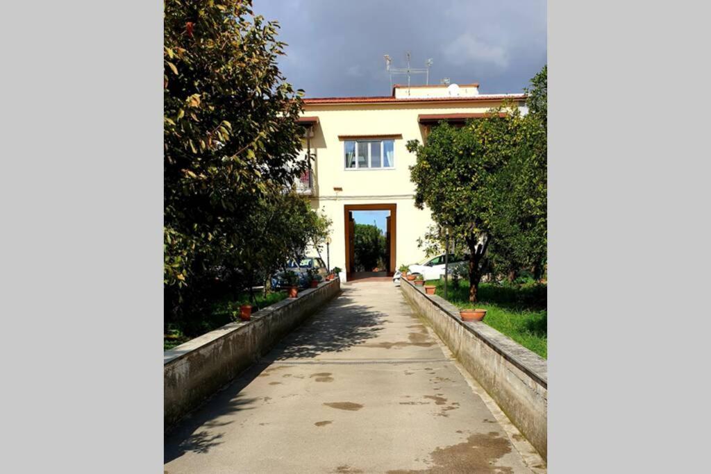 Appartamento In Villa Alle Falde Del Vesuvio 나폴리 외부 사진